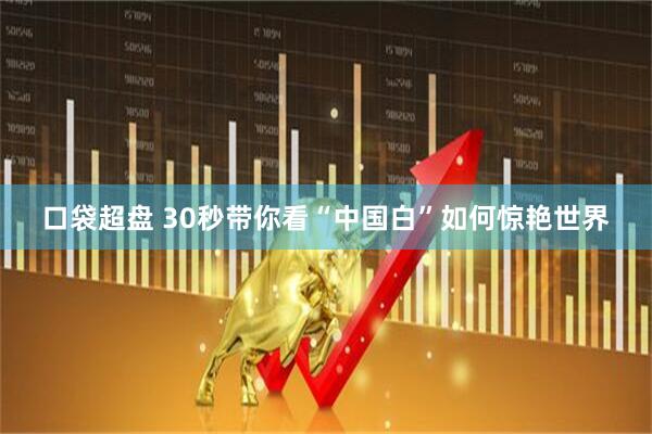 口袋超盘 30秒带你看“中国白”如何惊艳世界